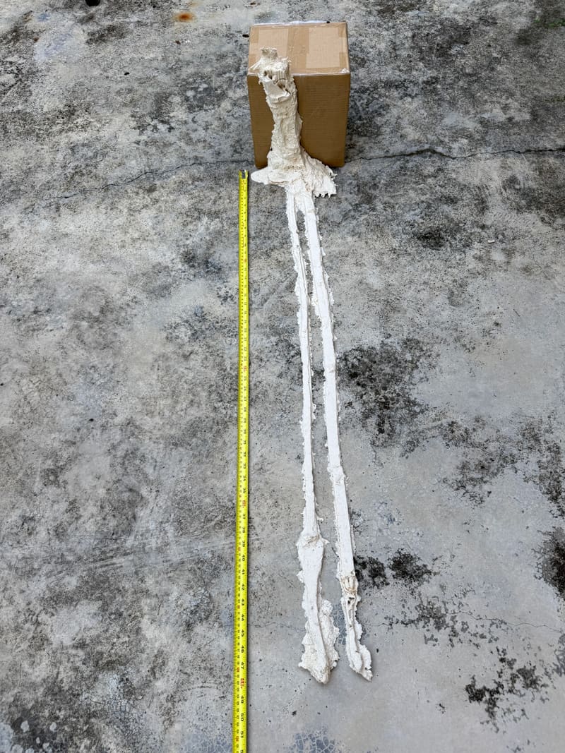 Piece No. 17