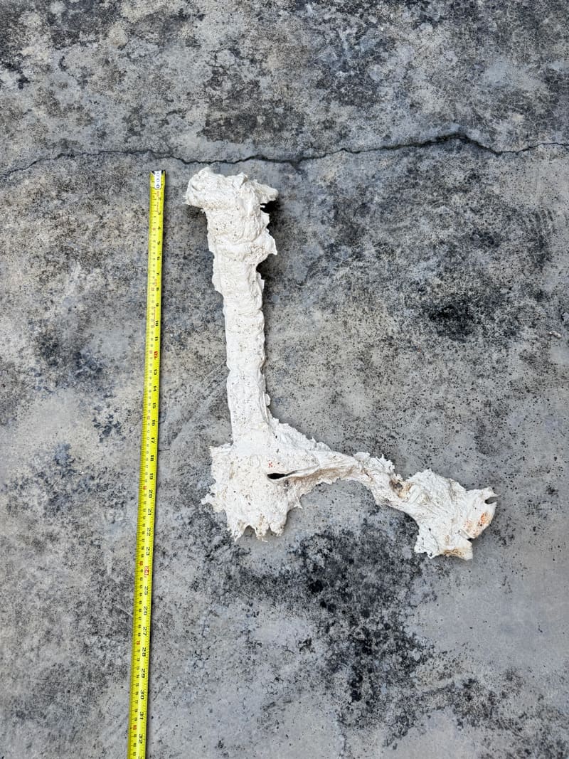Piece No. 29